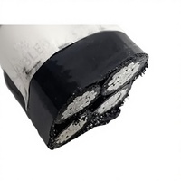 ACC ACSR Aluminium-Elektrokabel Verstärkter Blankleiter PE-Konstruktion Niederspannung 0,6/1 KV Kabel Tai Tong GB/T12706