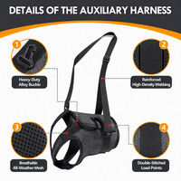 Harnais de soutien orthopédique pour chien, pour IVDD, arthrite, rééducation, élingue de levage pour animaux, escalier, voiture, en polyester de qualité médicale durable PETSGUARD
