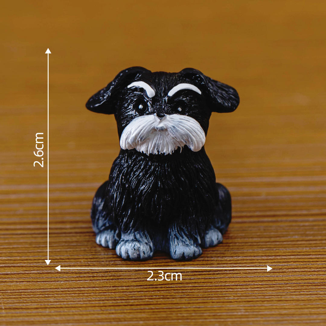 7ème Schnauzer