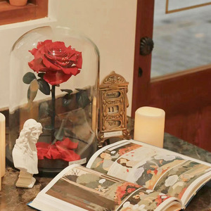 INS en çok satan büyük tek korunmuş güller akrilik kutu kubbe ile sevgililer günü mezuniyet için evlilik için kafes içinde kök - Product Image 4