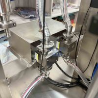 Machine de remplissage automatique à 2 têtes à piston servo pour liquides de lavage, savon, shampoing, machine de remplissage à piston pour bouteilles