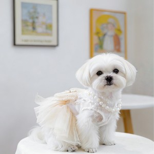 Falda tutú de princesa para mascotas, vestido de tul para perros y gatos con lazo de perlas y patrón de puntos, para las cuatro estaciones - Product Image 3