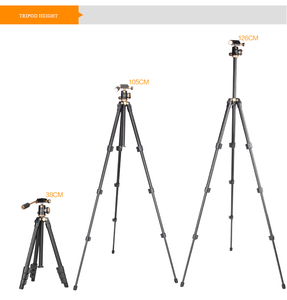 Qzsd Q160S Nhôm Không Gương Máy Ảnh DSLR Máy Ảnh Mini <span class=keywords><strong>Tripod</strong></span> Di Động Nhiếp Ảnh Trực Tiếp Điện Thoại Di Động Cradle Head <span class=keywords><strong>Tripod</strong></span> Mini <span class=keywords><strong>Tripod</strong></span> - Product Image 5