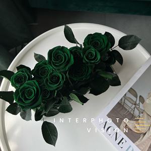 Scatola in acrilico rosa immortale per fidanzata ogni amore nuovo maniero rosa verde scuro - Product Image 1