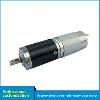 Motor de Engranajes Planetarios de Precisión de 28 mm, 12 V, 24 V, 30 W, 2 Nm, Alto Torque, Reemplazo para Motor Sin Núcleo Maxon para Dispositivos de Belleza