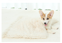 Couverture en peluche personnalisée pour animaux de compagnie, douce et chaude, avec logo, vente en gros