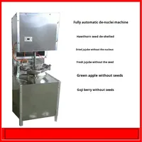 Meidoorn Olijf Pit Kersen Kern Fruit Steen Rode Dadels Jujube Kernel Remover Pitter Putjes Verwijderaar Machine