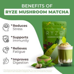 Poudre de <span class=keywords><strong>Matcha</strong></span> aux Champignons Biologiques avec 6 Types de Champignons : Champignon Velours de Ligneau, Champignon Shiitake, Champignon Crinière de Lion – Renforce l'Immunité - Product Image 4