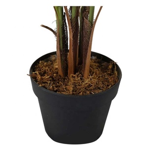 Planta artificial verde Rohdea en una maceta para decoración de interiores, 2 uds., 2 uds. - Product Image 5