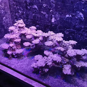 Op maat gemaakte kunstmatige grote decoratieve koraalrifrots voor een 150cm zoutwateraquarium - Product Image 5