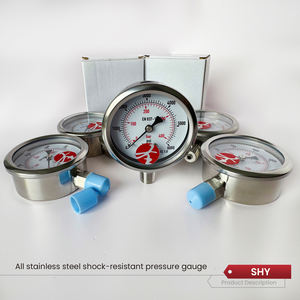 เกจวัดแรงดันอุตสาหกรรมความแม่นยำสูง โครงสร้างสแตนเลสทั้งหมด -30psi ถึง 6000psi ช่วงการวัด - Product Image 6
