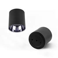 30 Deg noir Chrome déflecteur cylindre rond Dia 94Mm 3 pouces 10W aluminium Direction vers le bas lumière Cob Surface montée Led Downlight