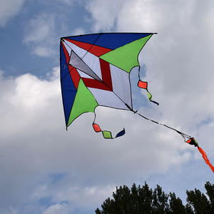 شركة مصنعة للبيع بالجملة توفر طائرة ورقية سهلة الطيران عالية الجودة للأطفال متعة رياضة الشاطئ طائرة ورقية كبيرة جميلة مخصصة كبيرة - Product Image 3