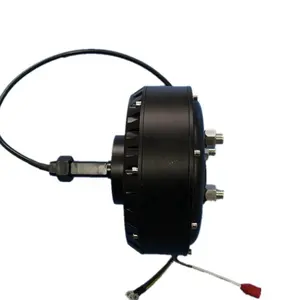 10 inch 24V36V48V60V Brushless DC 500W/800W/1000W/1500W/2000W Unilateral Shaft Hub Motor High Speed Golf Cart Motor