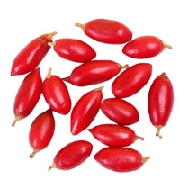 Certifications de produits multiples, poudre d'extrait de baies miracles très vendue, poudre d'extrait de Synsepalum Dulcificum de haute qualité