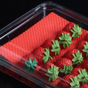 Eco-friendly Food Grade Disposable Moisture Absorbent Pad for Fruit Vegetable (Customizable Size/Color/Logo) PE Film Wood <b>Pulp</b> - Product Image 5
