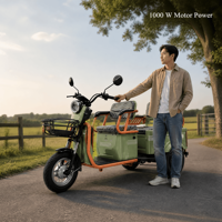Tricycle Électrique Passager, Scooter à Trois Roues, Moteur Moyeu 35km/h, Charge Utile 120kg, Carrosserie Ouverte, Transport Adulte