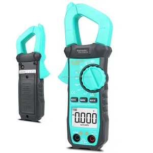 21D DC AC Digital Clamp Meter 3 5/6 Digit Automatic Diode Test Ture RMS Square Wave Output NCV Digital Clamp Meter Multimeter