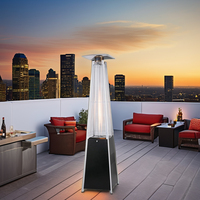 Chauffage au gaz infrarouge en acier de haute qualité Chauffage rapide Chauffage de terrasse au gaz naturel avec GPL pour le jardin Chaleur extérieure