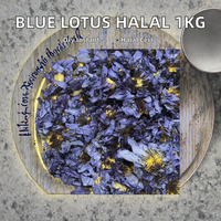 Boissons et aliments Blue Lotus, saveur neutre instantanée, pour adultes et enfants, certifiés Halal, sacs de 1 kg, durée de conservation de 12 mois