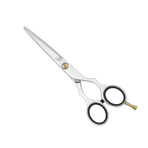 Ciseaux de coiffure de haute qualité, lames aiguisées en acier inoxydable, ciseaux de coiffure pour barbiers - Product Image 1