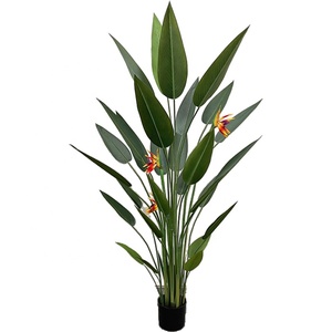 Ndoor-Oración de 180cm, - Product Image 1