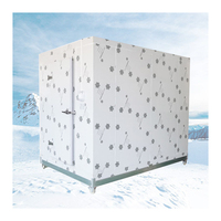 Contenedor Congelador Rápido Comercial Automático de Acero Inoxidable con Control PLC, 50 Toneladas, Ahorro de Energía, -60 +20, para Uso Agrícola