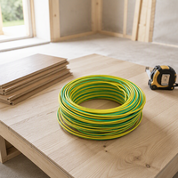 Kabel Listrik Bangunan Berisolasi PVC BV RV BLV BVR untuk Sirkuit Rumah, Panel Kontrol, Komputer, dan Peralatan Medis