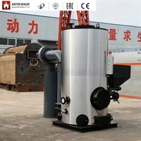 Chaudière à vapeur industrielle de 200 kg, 500 kg, demi-tonne, alimentée au charbon de biomasse et aux granulés de bois, générateur de vapeur, chaudière à charbon et biomasse