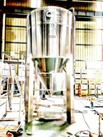 Silos in Acciaio Inox da 8000L per Caffè Macinato e Chicchi Interi