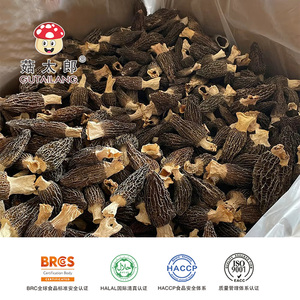 Morilles séchées en usine, Morchella Esculenta séchée, certifiées BRC, <span class=keywords><strong>prix</strong></span> du marché pour les champignons - Product Image 1