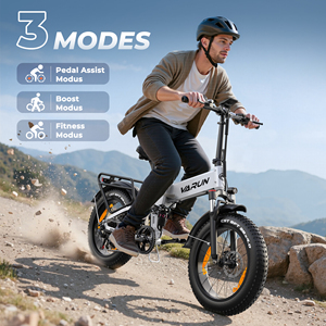 Bicicleta Plegable con Llantas Gruesas de 20 Pulgadas, 750w, 48v, 13ah, Alcance de 120 km, Doble Suspensión, 7 Velocidades, IP65, Entrega en 3-7 Días en la UE, S20-1plus - Product Image 6