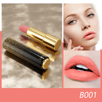 OEM ODM Rouge À Lèvres Vendeur Petit quantité minimale de commande Chinois Pas Cher Velours Mat Imperméable Longue Durée Formule Naturelle Maquillage Bâton Application