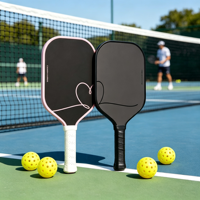 Raquette de pickleball professionnelle légère, face en fibre de carbone, noyau en nid d'abeille 16 mm, entraînement et divertissement