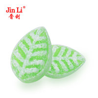 Bonbon en forme de feuille d'arbre fruité de différentes saveurs emballé individuellement