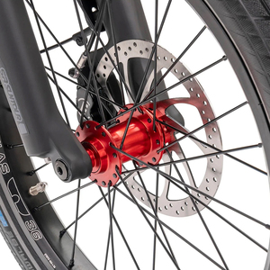 LEWEE Vélo électrique <span class=keywords><strong>cargo</strong></span> 36V 13.4 Ah/500Wh Batteries lithium 7 vitesses Vélo <span class=keywords><strong>cargo</strong></span> électrique pour adulte - Product Image 2