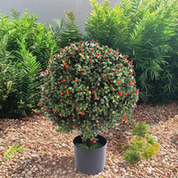 Vente en gros décoration extérieure intérieure arbre globe à feuilles persistantes arbres topiaires artificiels fruits rouges topiaires bonsaï