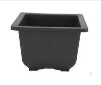 Ensemble de pot et soucoupe carrés 13,1*13,1*9,9 cm, pot à bonsaï, pot à succulentes, pot à fleurs en plastique