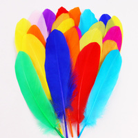 Großhandel Gänse feder 15-22CM 100Pcs/10-15CM 100Pcs DIY Modedesigner Handwerk Träumer Kleidung Dekoration