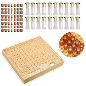 Beekeeping Tools Set Queen Rearing System Cultivating Box 120 Cell Cups Bee Nicot Complete Catcher Cage Beekeeping Equipment