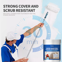 Peinture au latex à base d'eau, multifonctionnelle, imperméable, résistante au gel, à saveur pure, pour murs extérieurs et surfaces en ciment, OEM