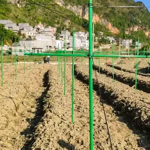 FRP 포도원 포도 나무 토마토 보육 유리 섬유 말뚝