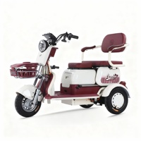 Tricycle électrique à 3 roues, scooter de mobilité avec siège enfant pliable et boîte de rangement, absorption des chocs, meilleur auto-rickshaw électrique