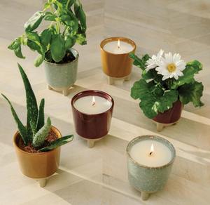Kits de Fabricación de Velas Aromáticas de Soja Ecológicos de Lujo al por Mayor, Kit Personalizable para <span class=keywords><strong>Plantas</strong></span> de Hierbas de Jardín Casero, Moderno - Product Image 5