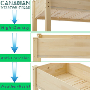 Jardinera Elevada de 48x24x30'' con Patas de Madera de Cedro, Moderna, Sin Acabado, para Plantas de Exterior, Certificada por <span class=keywords><strong>PEFC</strong></span>/<span class=keywords><strong>FSC</strong></span>/BSCI, Requiere Ensamblaje - Product Image 3