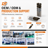 Foret métallique industriel DT DIN338 à longueur standard, à cannelure parabolique, en acier rapide HSS et HSS Cobalt, OEM/ODM