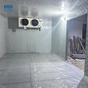 Cámara Frigorífica para la Conservación de Zanahorias y Vegetales con Paneles Solares, Compresores Copeland/Emerson, Control Digital y Control Remoto - Product Image 2