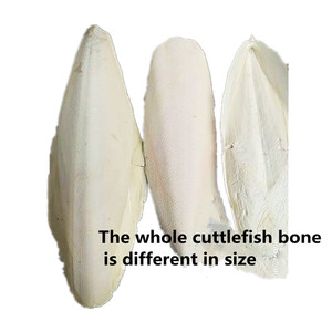 Ventes directes d'usine <span class=keywords><strong>os</strong></span> <span class=keywords><strong>de</strong></span> <span class=keywords><strong>seiche</strong></span> diverses spécifications <span class=keywords><strong>pour</strong></span> Hamster Chinchilla autres rongeurs petits jouets <span class=keywords><strong>pour</strong></span> animaux <span class=keywords><strong>de</strong></span> compagnie en calcium - Product Image 2