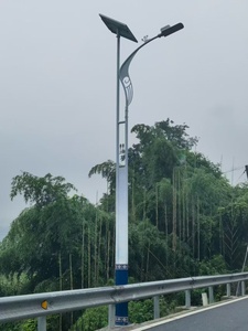 Mât d'éclairage public photovoltaïque en alliage d'aluminium galvanisé, haut mât intelligent gris hybride décoratif, fleur jaune LED IP65 - Product Image 5