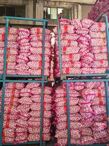 Ajo affresco Caj De 10 kg Ajo Chino - Product Image 5